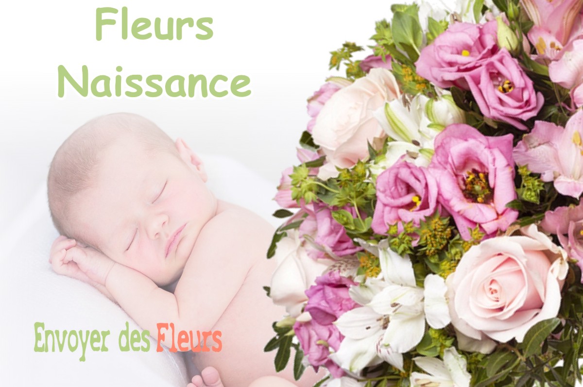 lIVRAISON FLEURS NAISSANCE à SAINT-EGREVE